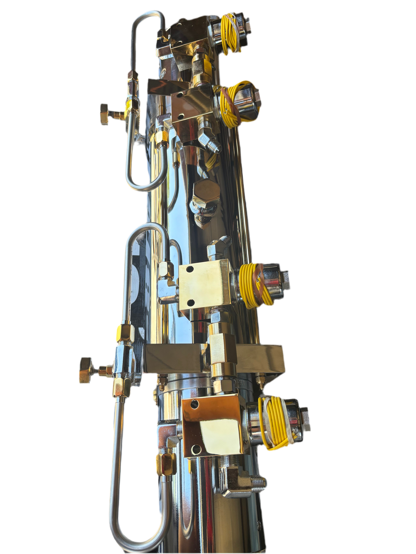 Gold and chrome whammy pump