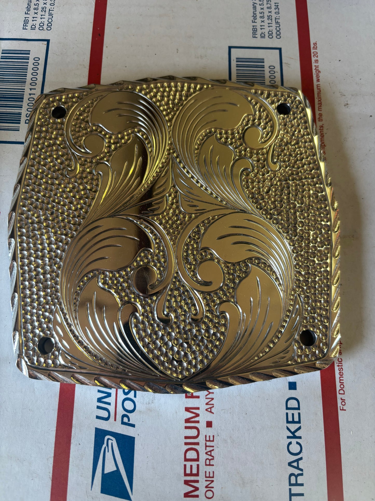 Engraved polished back plate