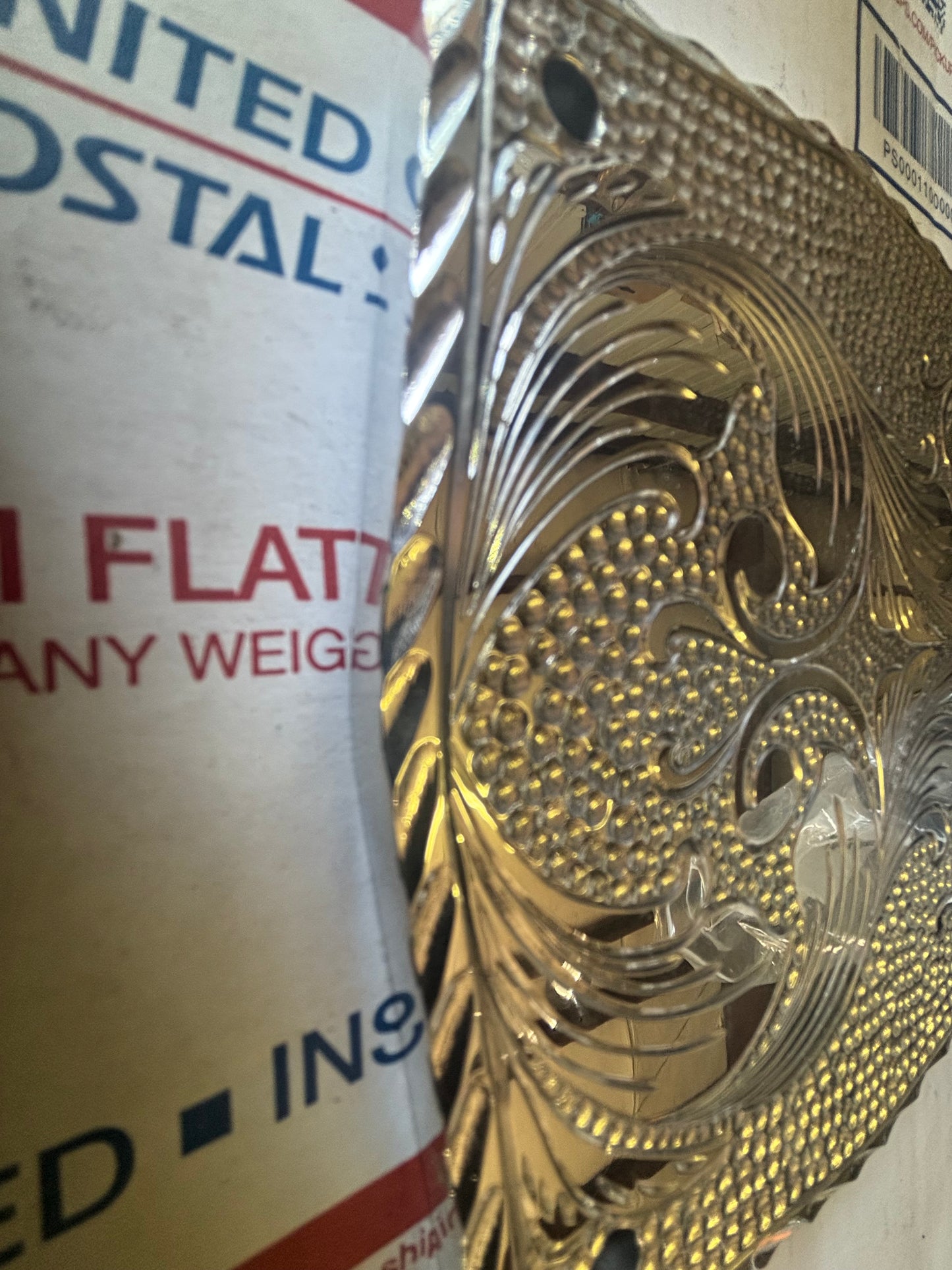 Engraved polished back plate
