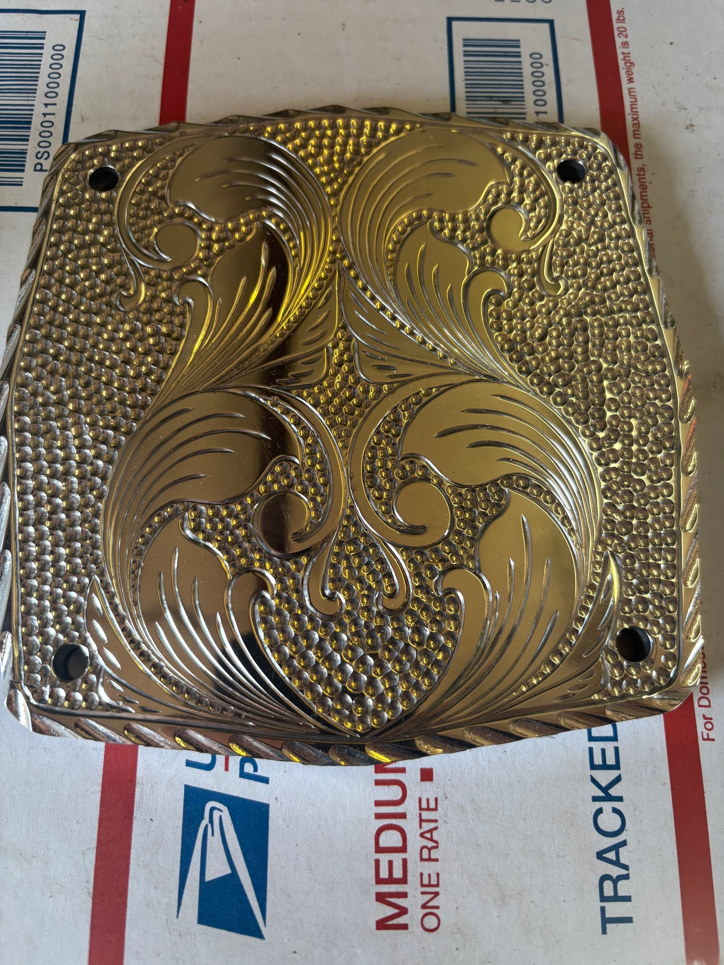 Engraved polished back plate